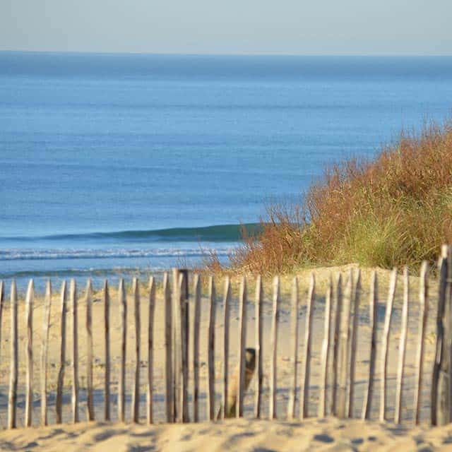 environnement plage avec la mer au loin